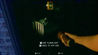 Скриншот 5 к игре COMING HOME