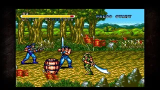 Скриншот 6 к игре Beat 'Em Up Collection (QUByte Classics)