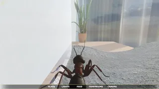 Скриншот 7 к игре Ant Simulator
