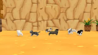 Скриншот 1 к игре My Little Kitty