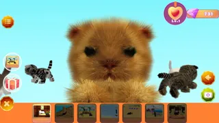 Скриншот 4 к игре My Little Kitty