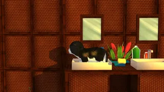 Скриншот 7 к игре My Little Kitty