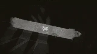 Скриншот 3 к игре Hellkind