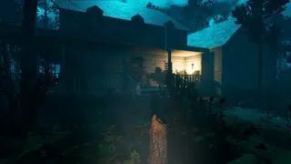 Скриншот 2 к игре Skinrot