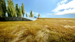 Скриншот 3 к игре Rust Rides
