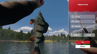 Скриншот 1 к игре MLF: Pro Catch