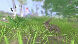Скриншот 7 к игре Grow Wild