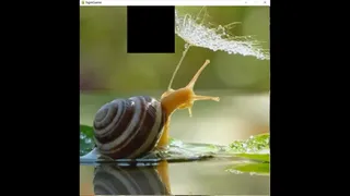 Скриншот 1 к игре hgmGame-snail
