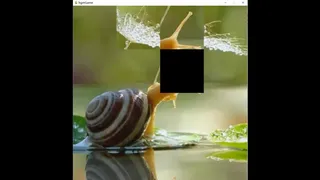 Скриншот 4 к игре hgmGame-snail