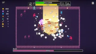 Скриншот 1 к игре Duncrush