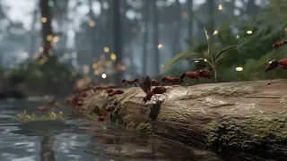 Скриншот 1 к игре Empire of the Insects