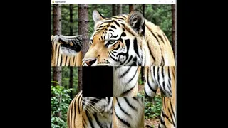 Скриншот 1 к игре hgmGame-tiger