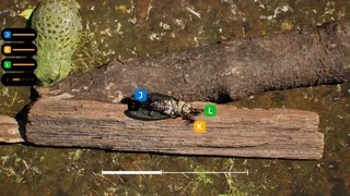 Скриншот 2 к игре Симулятор муравья