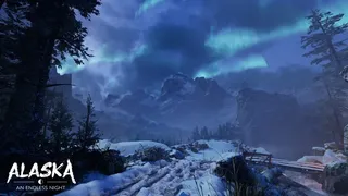 Скриншот 7 к игре ALASKA - An Endless Night