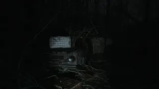 Скриншот 3 к игре The Strange Lights