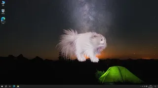 Скриншот 4 к игре Get a cat