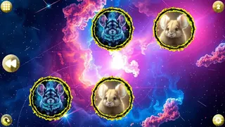Скриншот 1 к игре Space Memory: Chinchillas