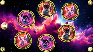 Скриншот 2 к игре Space Memory: Chinchillas
