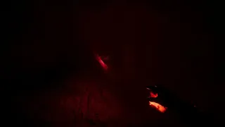 Скриншот 7 к игре Maroxyn Drarea