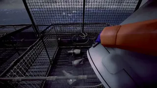 Скриншот 4 к игре Crabmeat