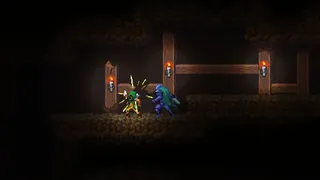 Скриншот 5 к игре Cathedral: Crow's Curse