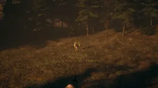 Скриншот 3 к игре Cabin Curse