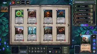 Скриншот 5 к игре Sunyata CCG