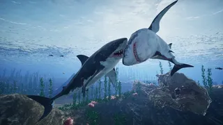 Скриншот 3 к игре Primal Blue
