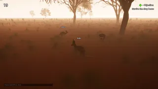 Скриншот 3 к игре The Last Kangaroo