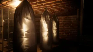 Скриншот 1 к игре Case Blind: Stolen Route