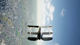 Скриншот 6 к игре Fight Flight