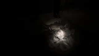 Скриншот 8 к игре The Third