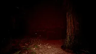 Скриншот 1 к игре Red Light White Light