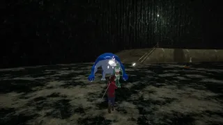 Скриншот 2 к игре Fynn's Passage