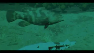Скриншот 6 к игре Croc Royale