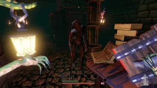 Скриншот 2 к игре Nemiza's Verdict