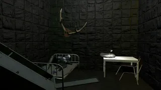 Скриншот 4 к игре Twelve Mental Patients