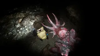 Скриншот 4 к игре Under The Basement
