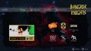 Скриншот 4 к игре The Last Ninja Collection + Bonus Games