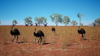 Скриншот 2 к игре For The Wheat