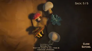 Скриншот 3 к игре Forager's Finds