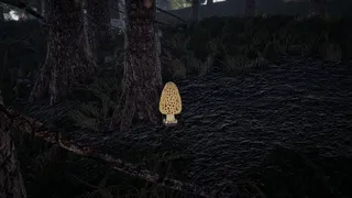 Скриншот 6 к игре Forager's Finds