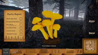 Скриншот 7 к игре Forager's Finds