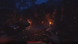 Скриншот 8 к игре Blood Bear