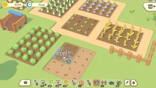 Скриншот 2 к игре HomeGrown