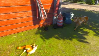 Скриншот 6 к игре Chill Fox