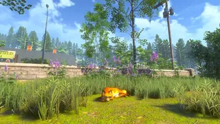 Скриншот 7 к игре Chill Fox