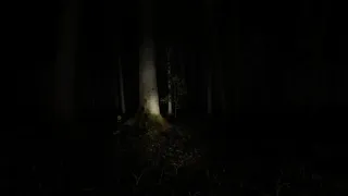 Скриншот 1 к игре Waldzweisamkeit