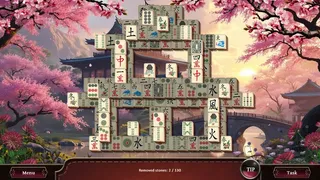 Скриншот 5 к игре 2 in 1 Experience Hidden Objects