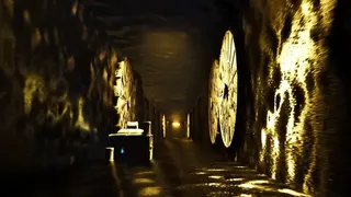 Скриншот 2 к игре The Last Crawler